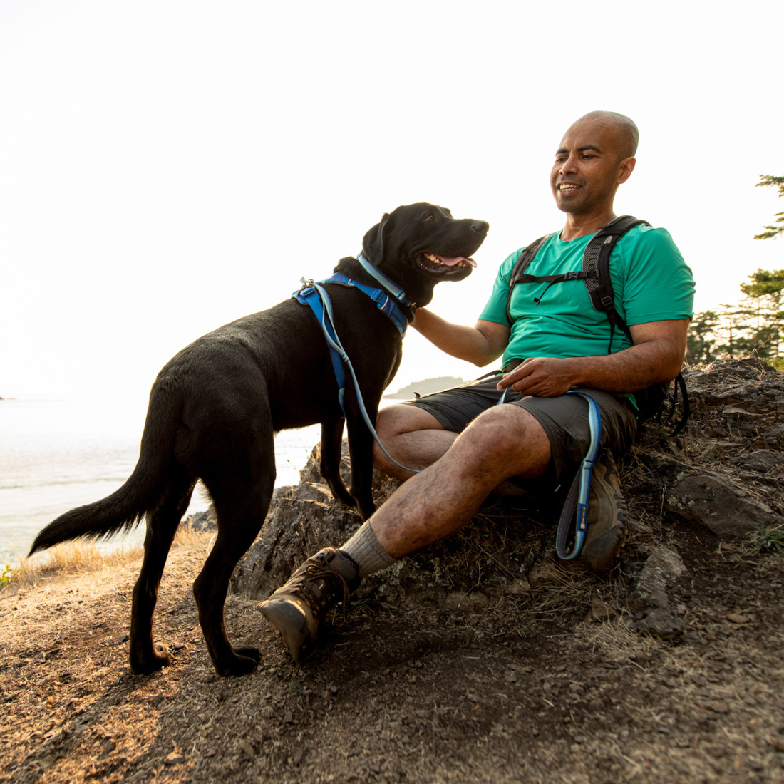 ラフウェア フロントレンジリーシュ (ruffwear)