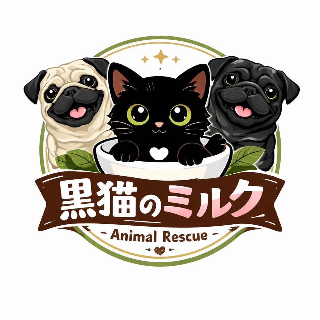 黒猫のミルク