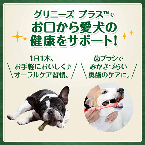 グリニーズ プラス 成犬用 大型犬用 体重22-45kg 6本入り (ペットトリーツ)