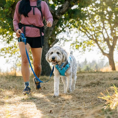ラフウェア　スワンプクーラーハーネス