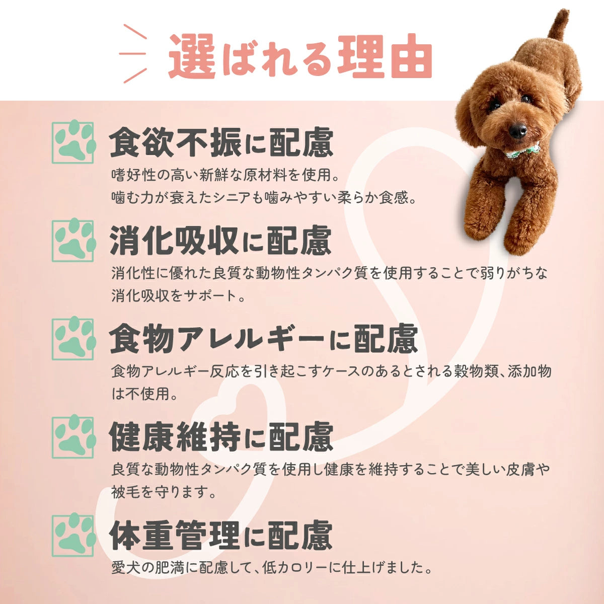 ピュアメイド 愛犬の完全手作り新鮮ごはん (ピュアメイド)