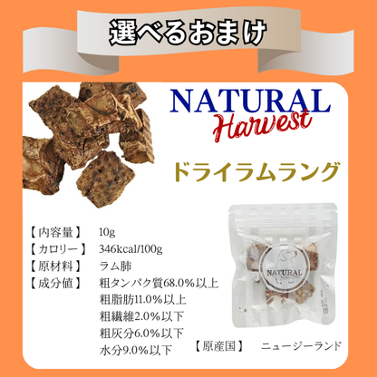 セレクトバランス グリーンレシピ ヴィーガン 小粒 (ドッグフード)