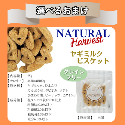 Physicalife ドッグフード 成犬用　ビーフ＆大豆入り